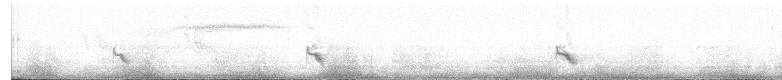 Bicknell's Thrush - ML638085915