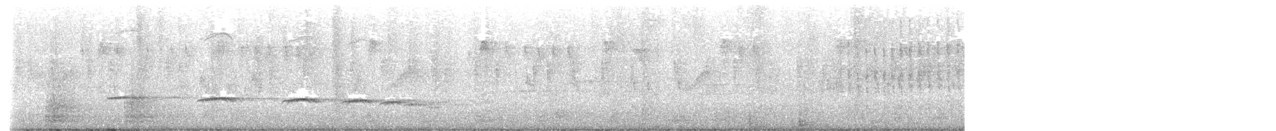 Plaintive Cuckoo - ML638086129
