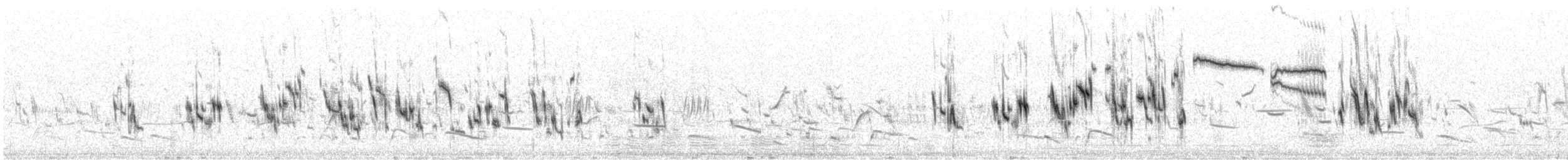 Plectrophane à ventre gris - ML638086314