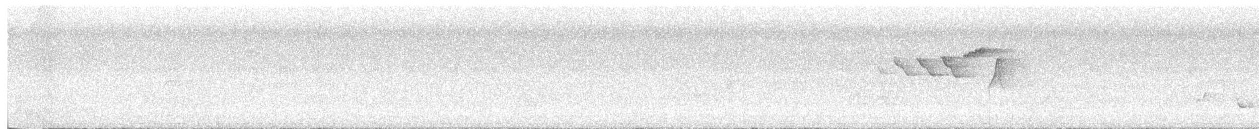 ハゴロモムシクイ - ML638086627