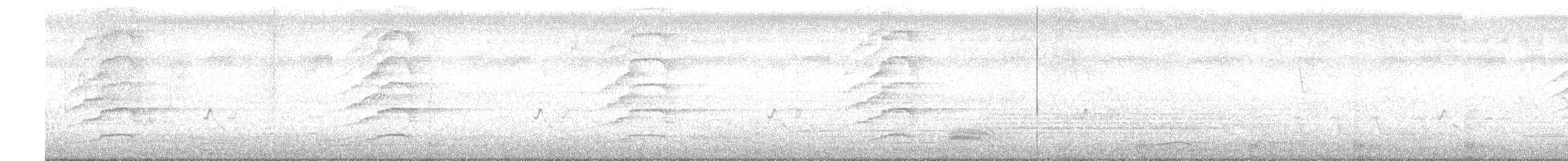 Spotted Owlet - ML638087622