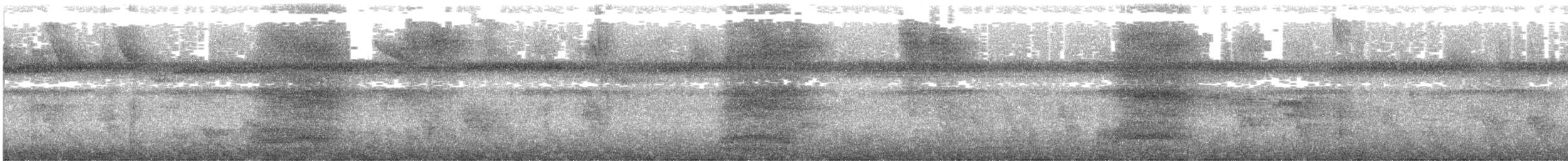 Guadeloupe Woodpecker - ML638088243