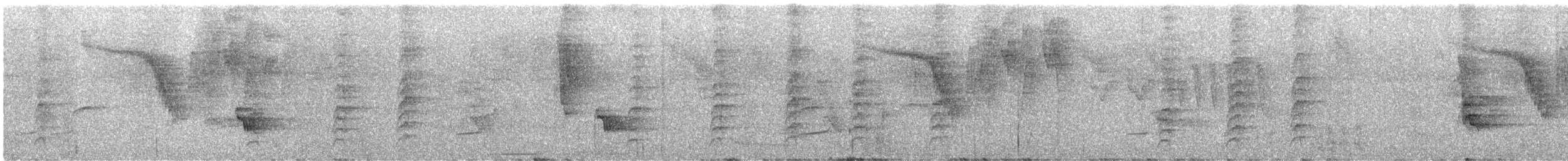 rødleggtrost (ardosiaceus/albiventris) - ML638088354