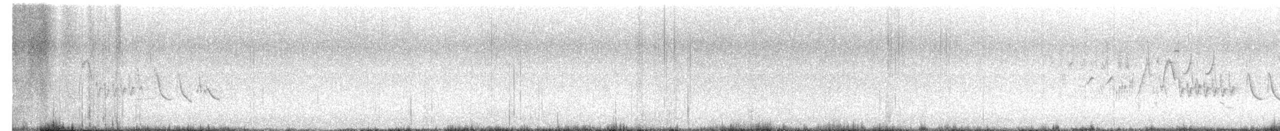 Northern House Wren - ML638088905