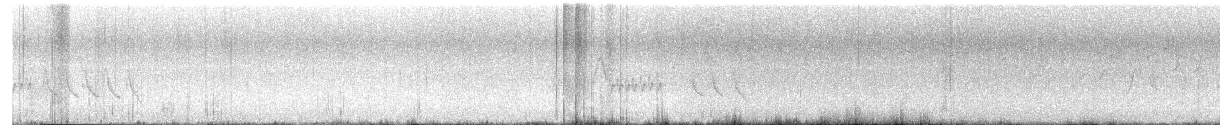 Northern House Wren - ML638088906