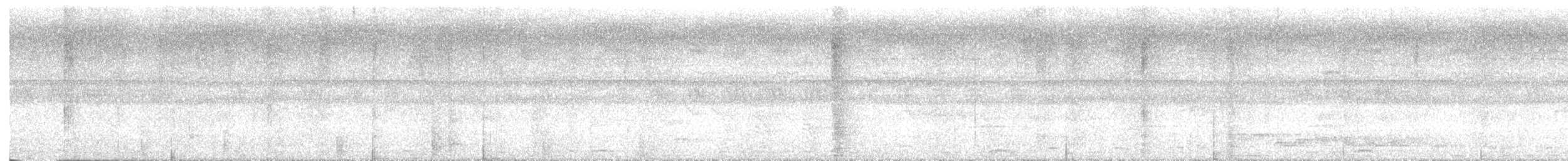 Wrinkled Hornbill - ML638090249