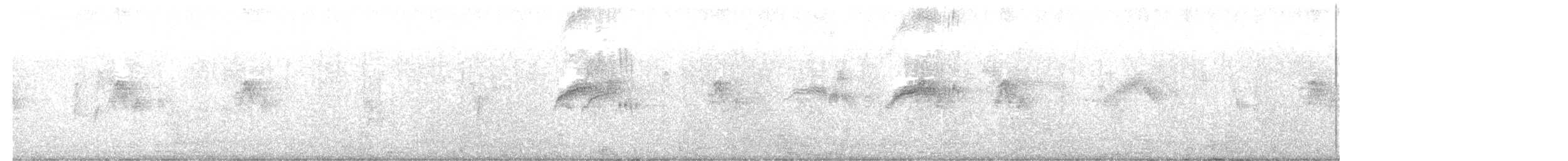 Чёрный стриж - ML638091145
