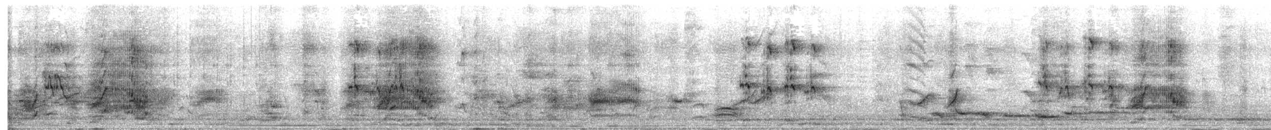 Apôtre gris - ML638091859