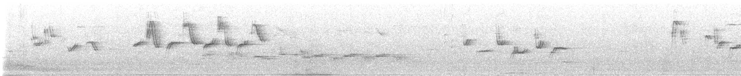 Coal Tit (Continental) - ML638093369