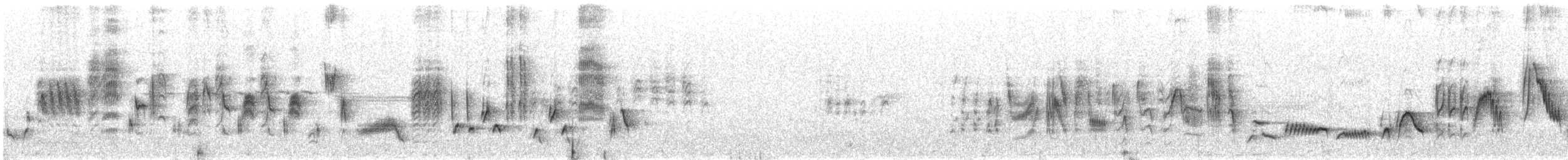 Garden Warbler - ML638095274