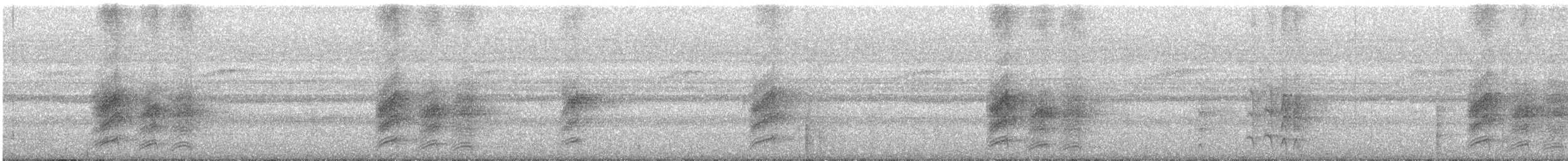 ブライスサンコウチョウ - ML638095726