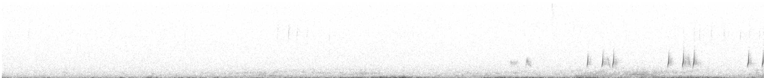 Common Quail - ML638098917
