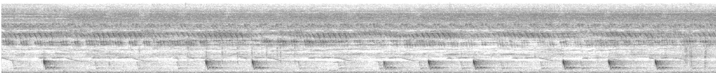 Large-tailed Nightjar - ML638099096