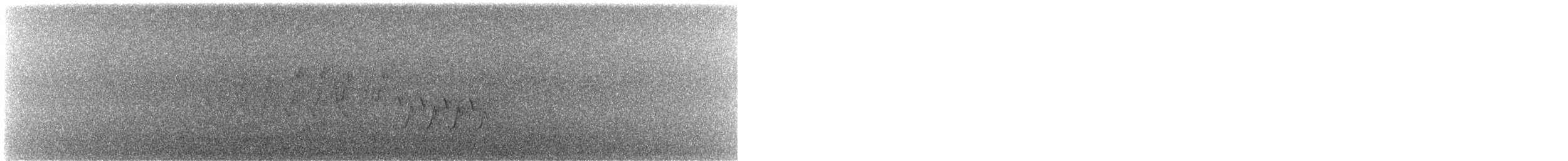Mourning Warbler - ML638099949