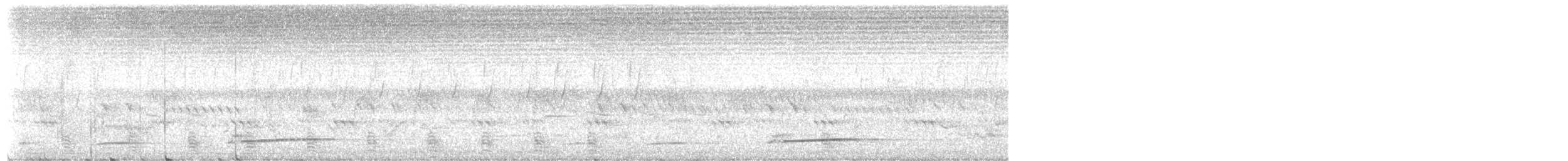 Black Cuckoo - ML638100232