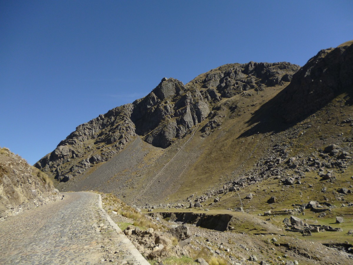null - ML638100386