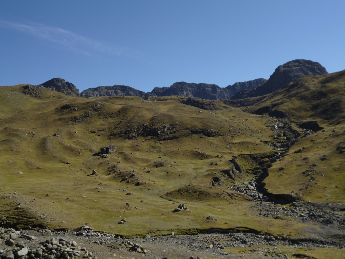 null - ML638100388