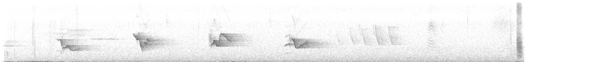 Blue-headed Vireo - ML638101185