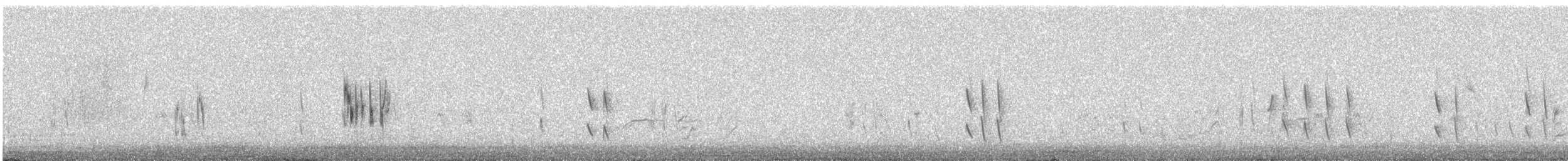 Greater Short-toed Lark - ML638101849