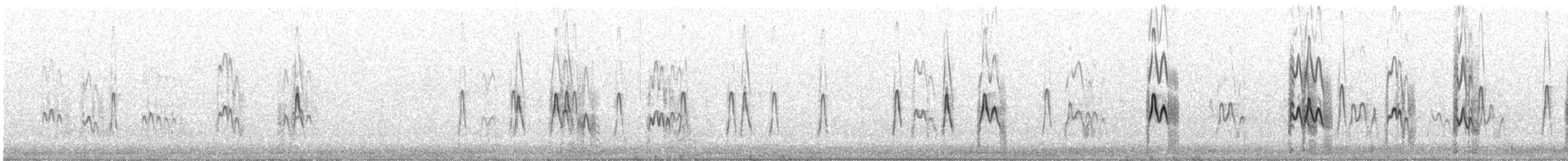 Aleutian Tern - ML638102177
