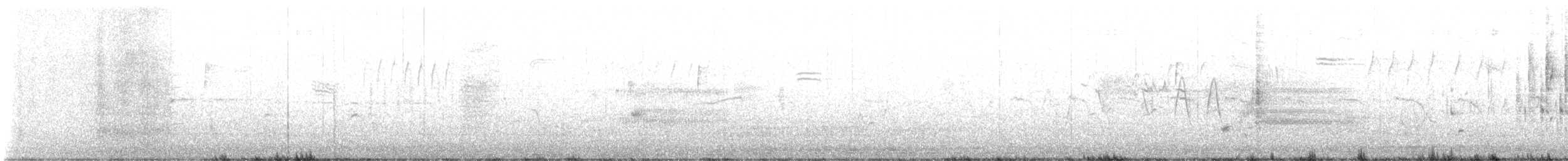 pisík americký - ML638102530