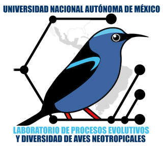 Laboratorio de Procesos Evolutivos y Diversidad de Aves Neotropicales