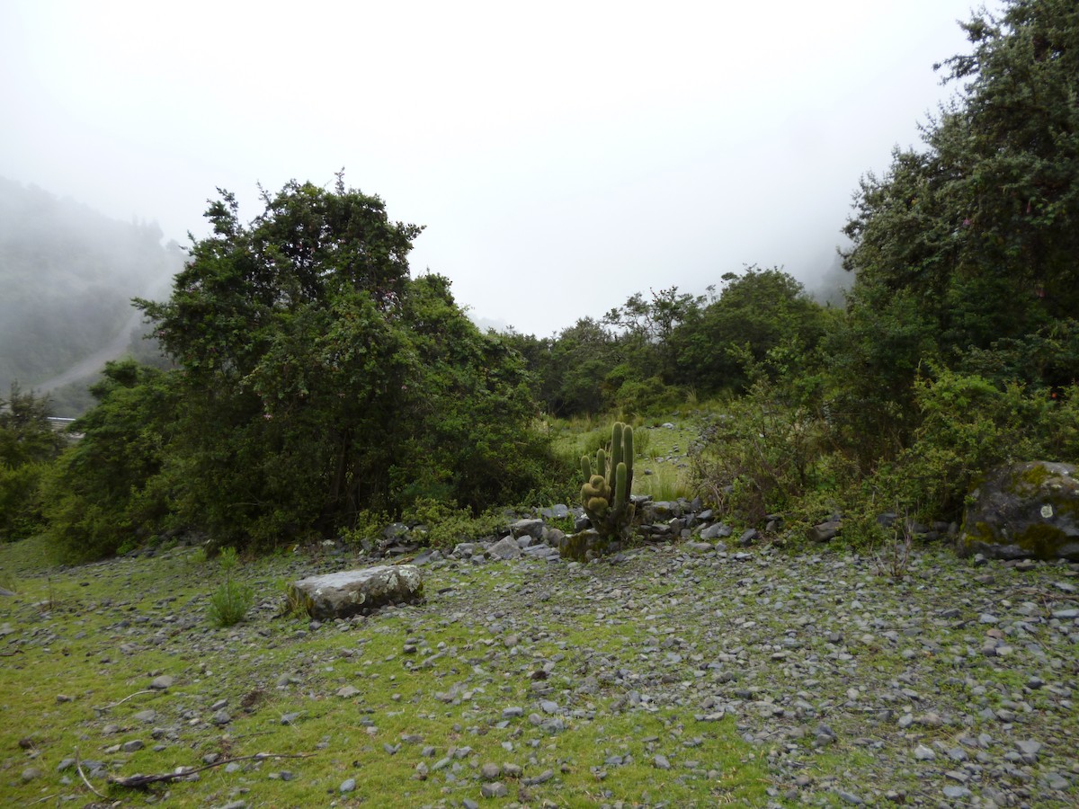 null - ML638105206