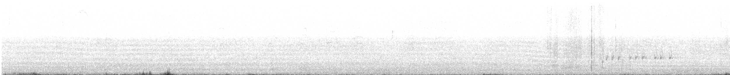 チャバラマユミソサザイ - ML638105459