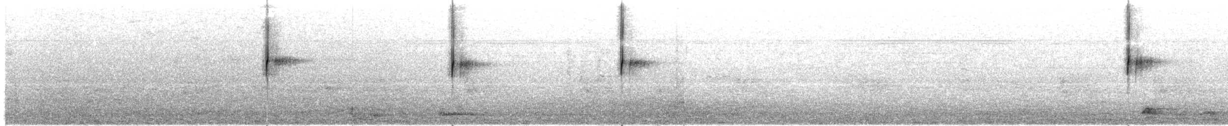 Gray-flanked Cinclodes - ML638105498