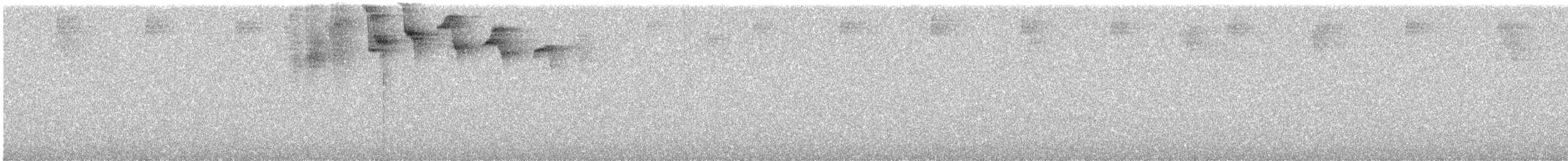 Speckled Hummingbird - ML638106295