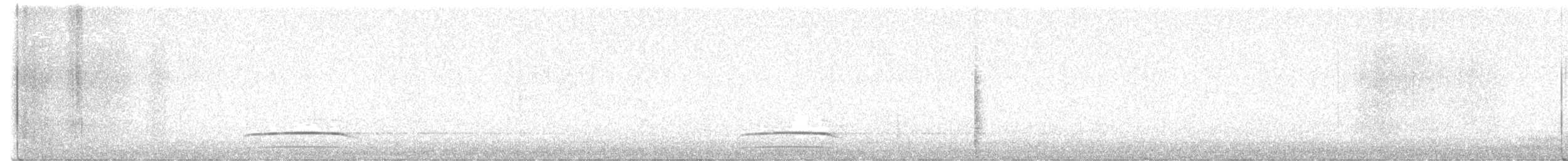 Great Grebe - ML638106877