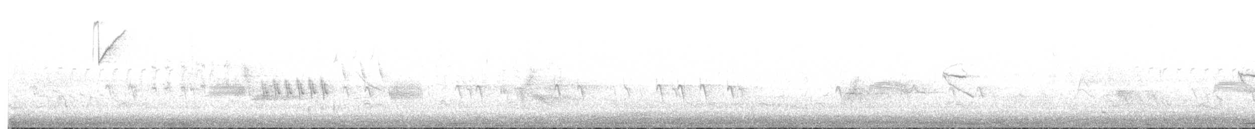 Fichtenzeisig - ML638106919