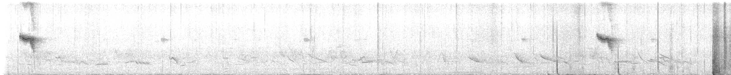 Greenish Elaenia - ML638107599