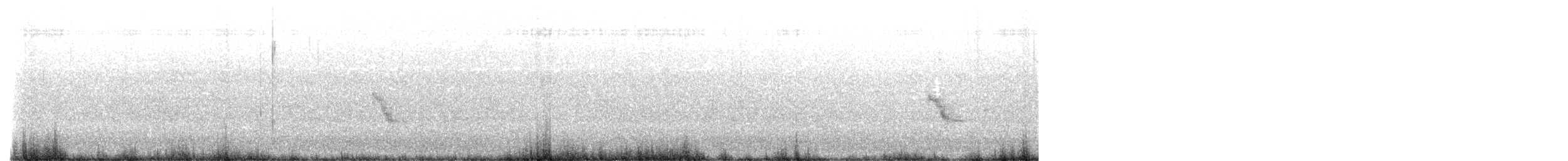 Bicknell's Thrush - ML638108897