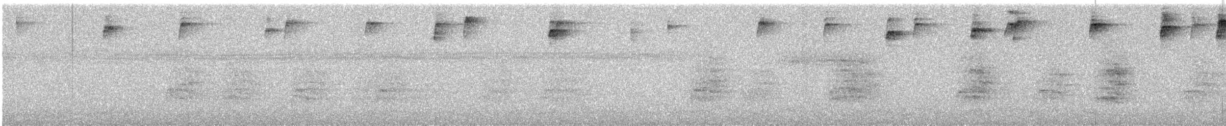 pyrura hnědoocasý - ML638110799