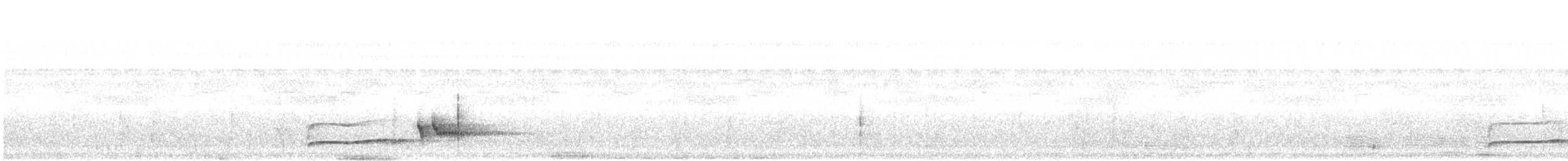 Blue-backed Manakin - ML638110867