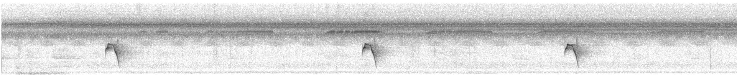 Dot-winged Antwren - ML638113407