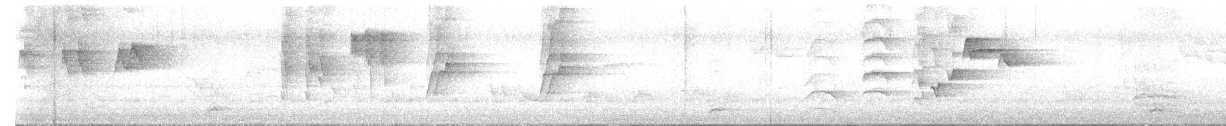 Black-crowned Night Heron - ML638114579