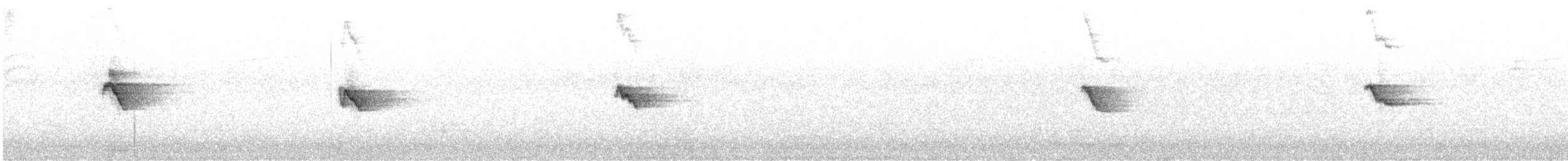 Iberian Chiffchaff - ML638115099
