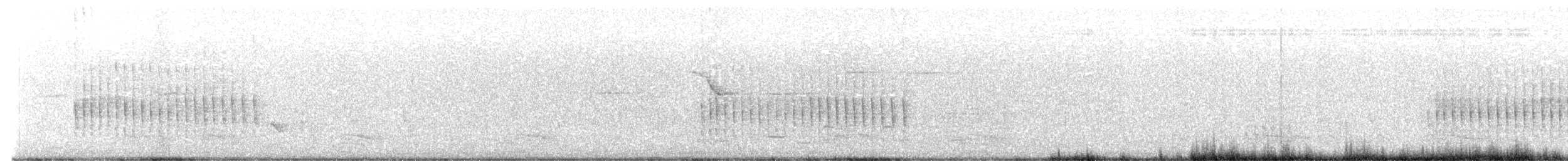 Belted Kingfisher - ML638116954