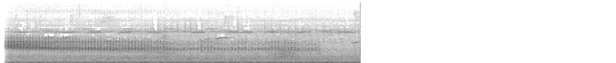 White-throated Crake - ML638117845