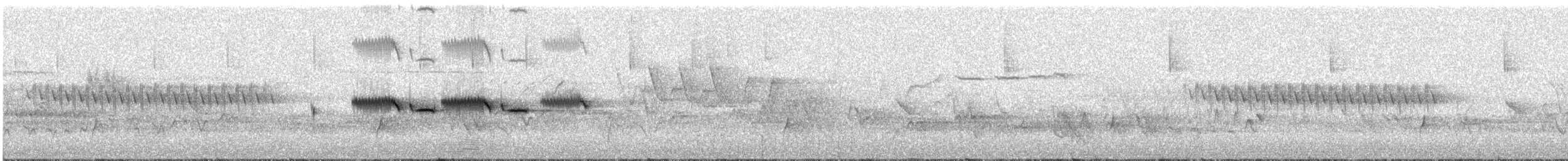 strnadec bělopásý (ssp. oriantha) - ML638118613