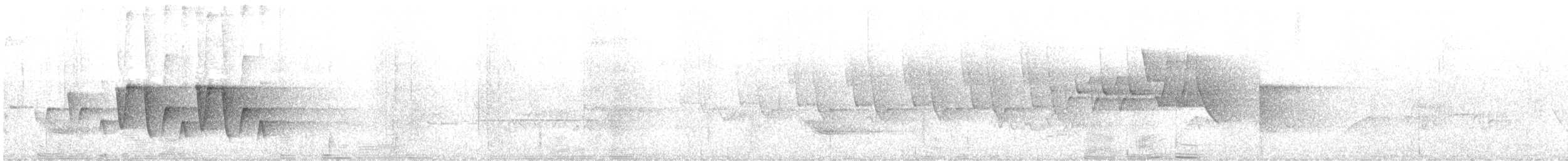 Connecticut Warbler - ML638119214
