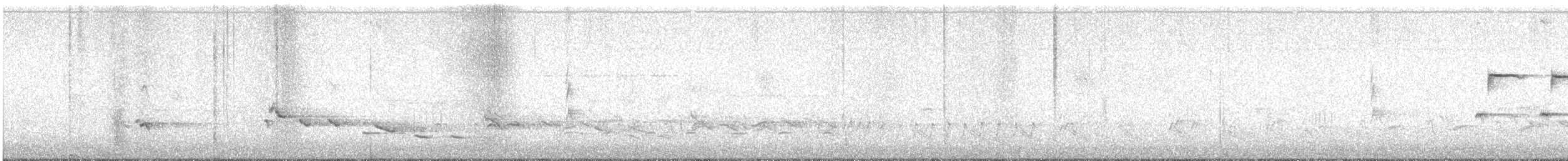 Baltimore Oriole - ML638119397