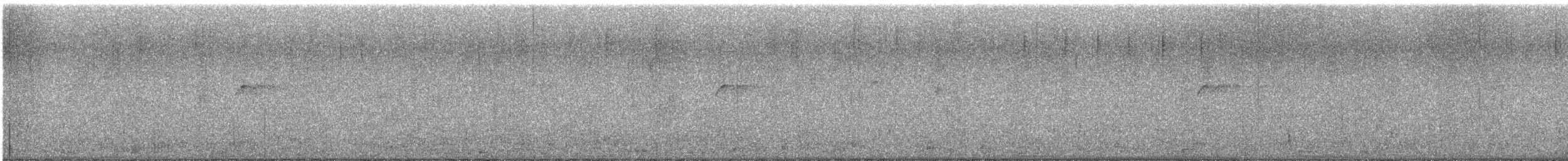 Western Flycatcher (Cordilleran) - ML638119732
