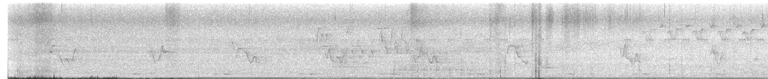 new world sparrow sp. - ML638119841