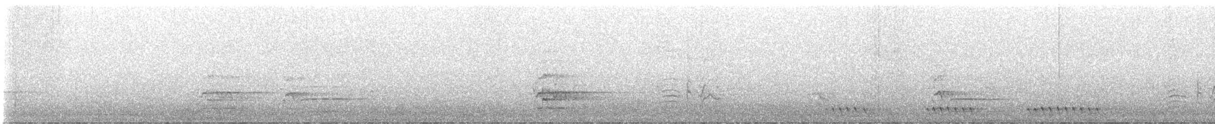 Gray Currawong (Clinking) - ML638119991