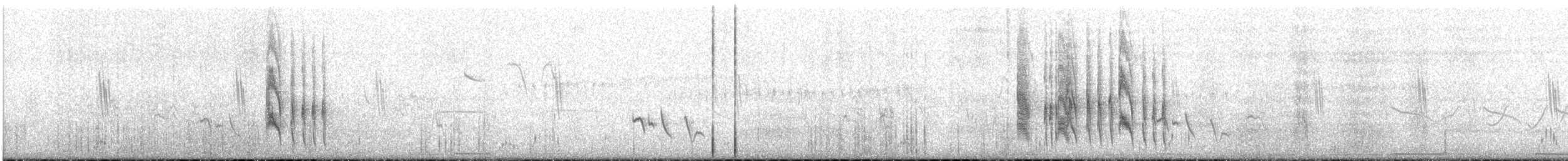 Tumbesian Tyrannulet - ML638122483