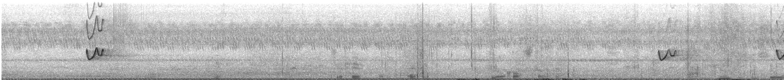 Chirruping Nightjar - ML638122490