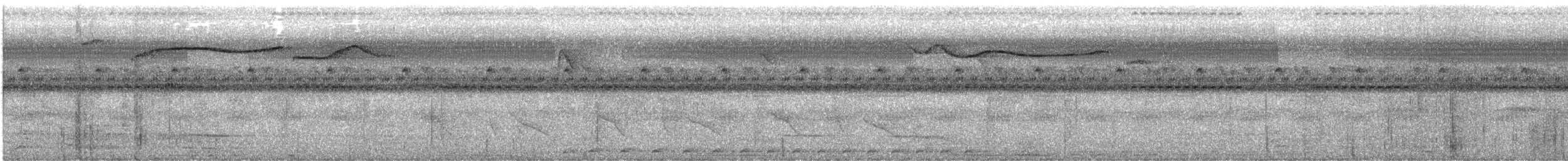 Sierra Madre Ground-Warbler - ML638122934
